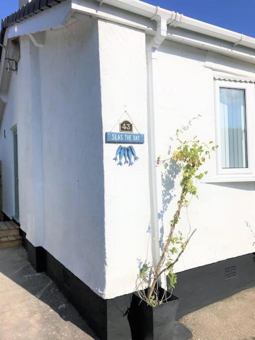 Perfect 4 Cpls & Families . Close To Everything Villa Pentraeth Екстериор снимка